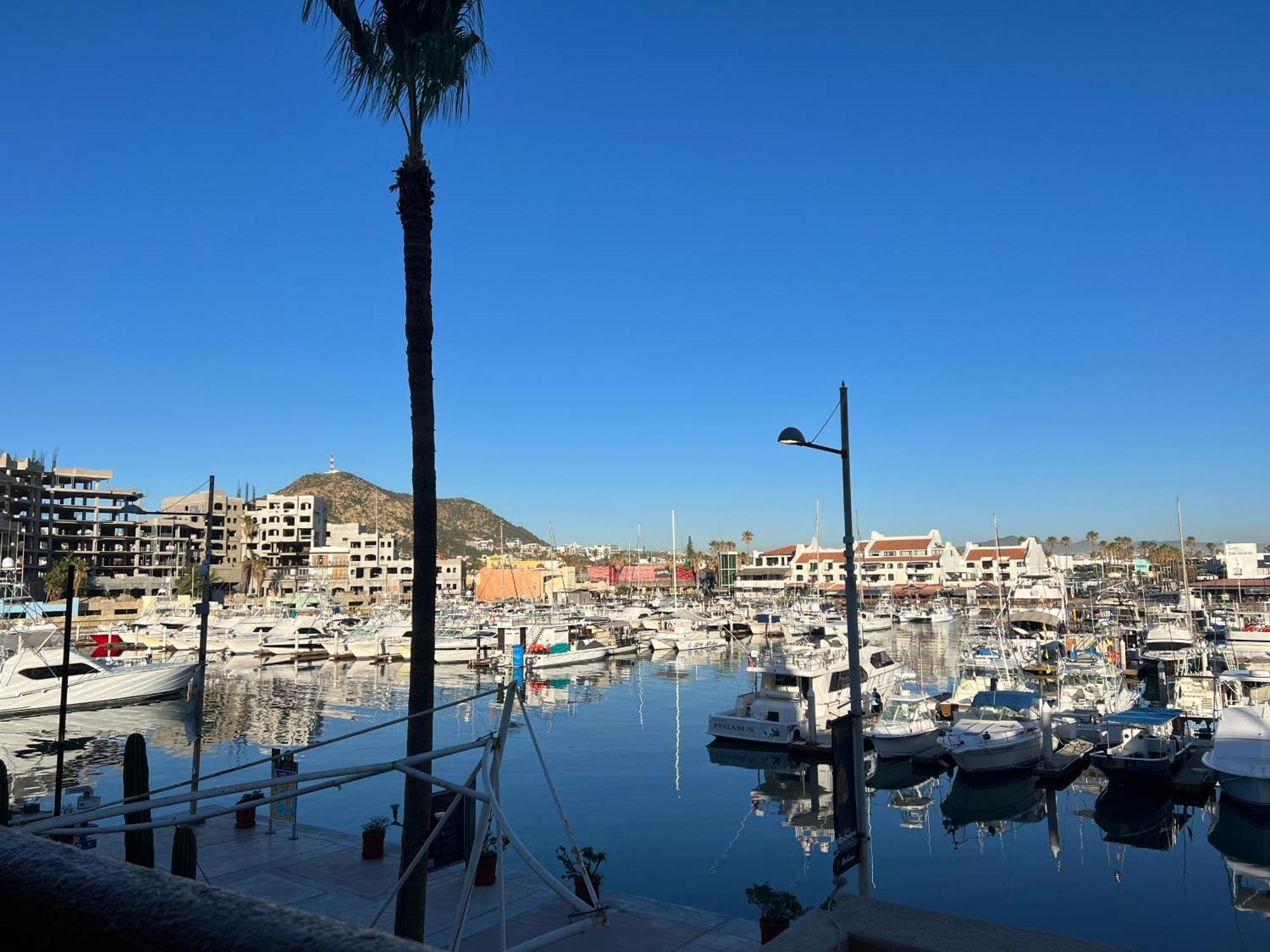 Cabowilson Leilighet Cabo San Lucas Eksteriør bilde